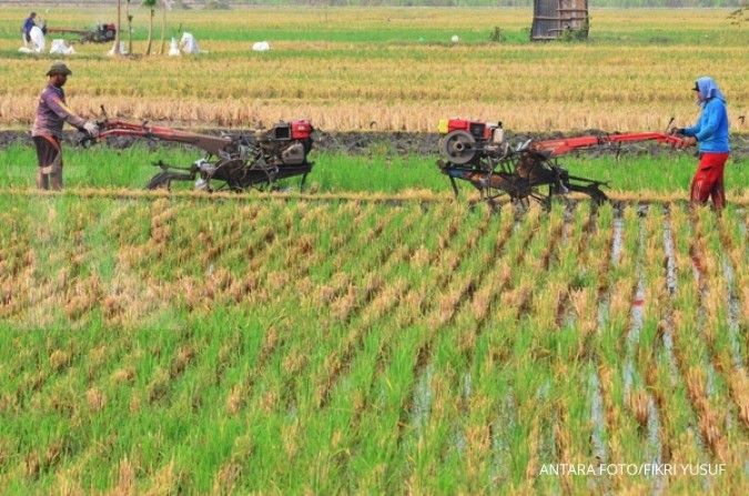 Realisasi kredit pertanian di Bali Rp 1,34 miliar
