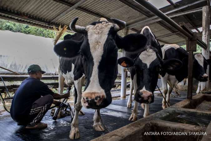 PT Sumoda Tama Berkah Perkuat Ekosistem Industri Susu Nasional