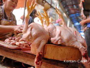 Pasokan Seret, Harga Ayam Pedaging Bergerak Naik