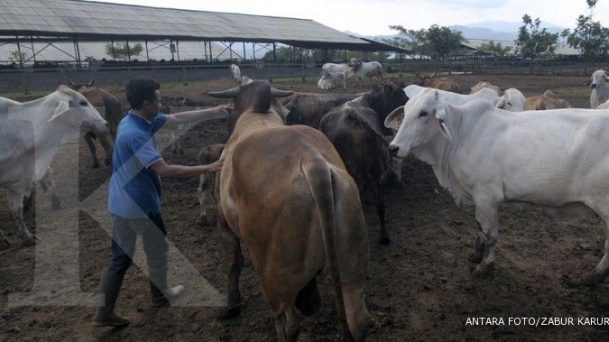 Mendag: Indonesia bisa kehabisan stok sapi di 2016