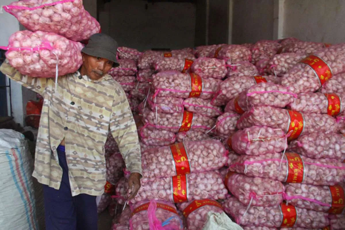 Kementerian Pertanian cabut RIPH bawang putih sebesar 299.324 ton