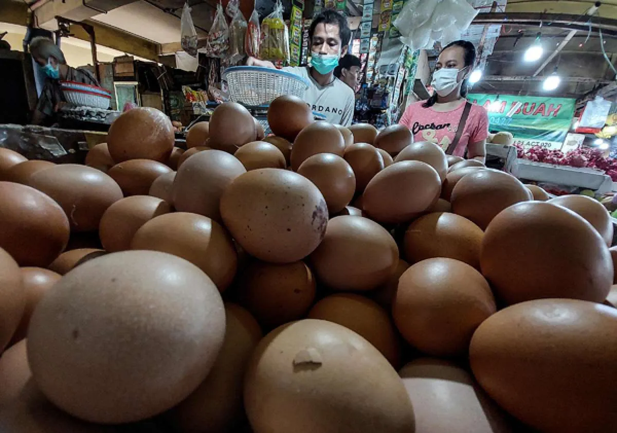 Kapan Harga Telur Ayam Bakal Turun? Ini Prediksi Presiden Jokowi