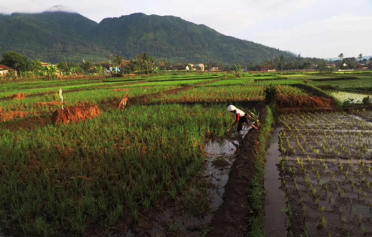 Jadwal Imsak Garut Hari Ini Sabtu (28/2): Tips Sahur Sehat untuk Puasa Lancar