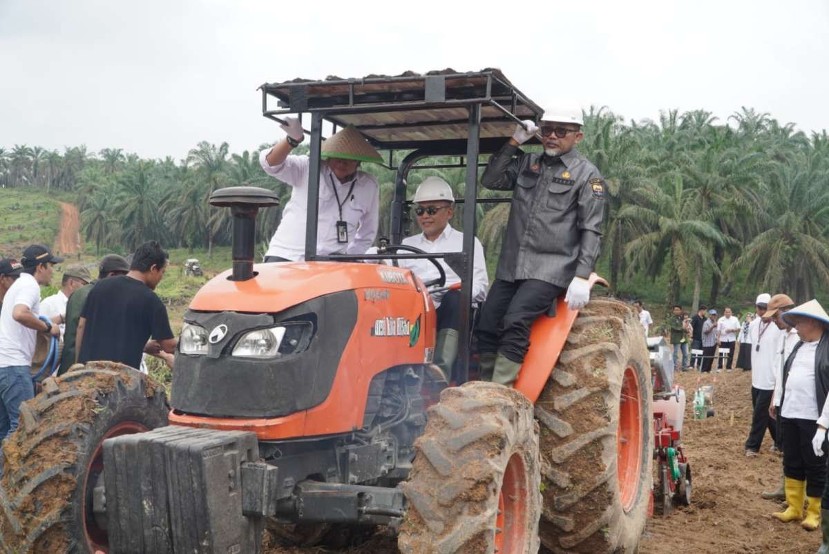 PalmCo Dipastikan Batal IPO, Direktur Utama PTPN Group Ungkap Alasannya