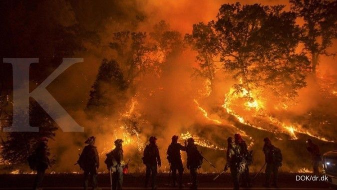 Kebakaran menjalar di hutan Israel dan Tepi Barat