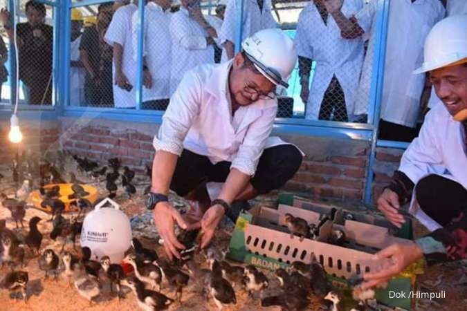 Apresiasi kepedulian Mentan, Himpuli tunggu program pengembangan ayam lokal Indonesia