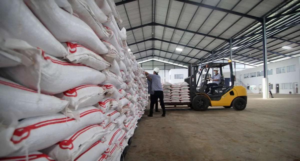 Kinerja Saraswati Anugerah (SAMF) apik, pendapatan melonjak 14% di kuartal I-2021