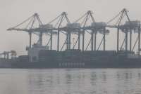 Antisipasi Lonjakan Arus Petikemas, SPTP Susun Roadmap Infrastruktur 2026–2030