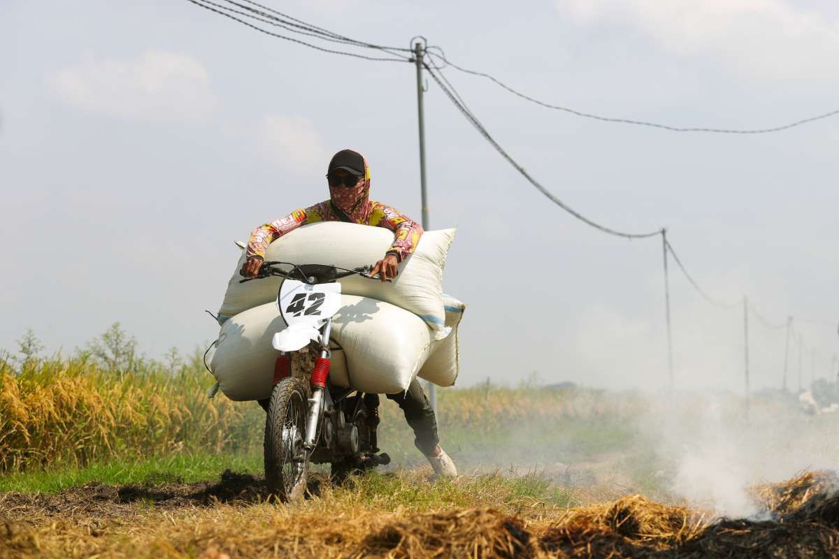 Kerek Produktivitas Padi, Pemkab Ngawi Menggali Pertanian Ramah Lingkungan