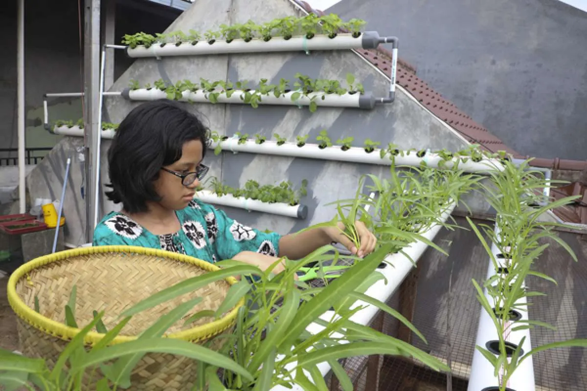 Ini 4 Jenis Sayuran yang Ramah untuk Anak-Anak sehingga Mudah Dikonsumsi