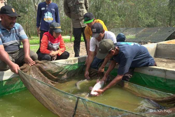 Pertamina Kilang Plaju Dorong Program Konservasi Ikan Belida