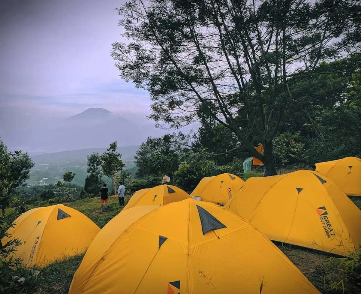 Mawar Camp Area, tawarkan sensasi berkemah dengan pemandangan hutan pinus