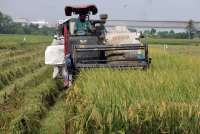 Cuaca Sumut Rabu, 4 Maret 2026: Cek Wilayah Berpotensi Hujan Ringan & Berawan