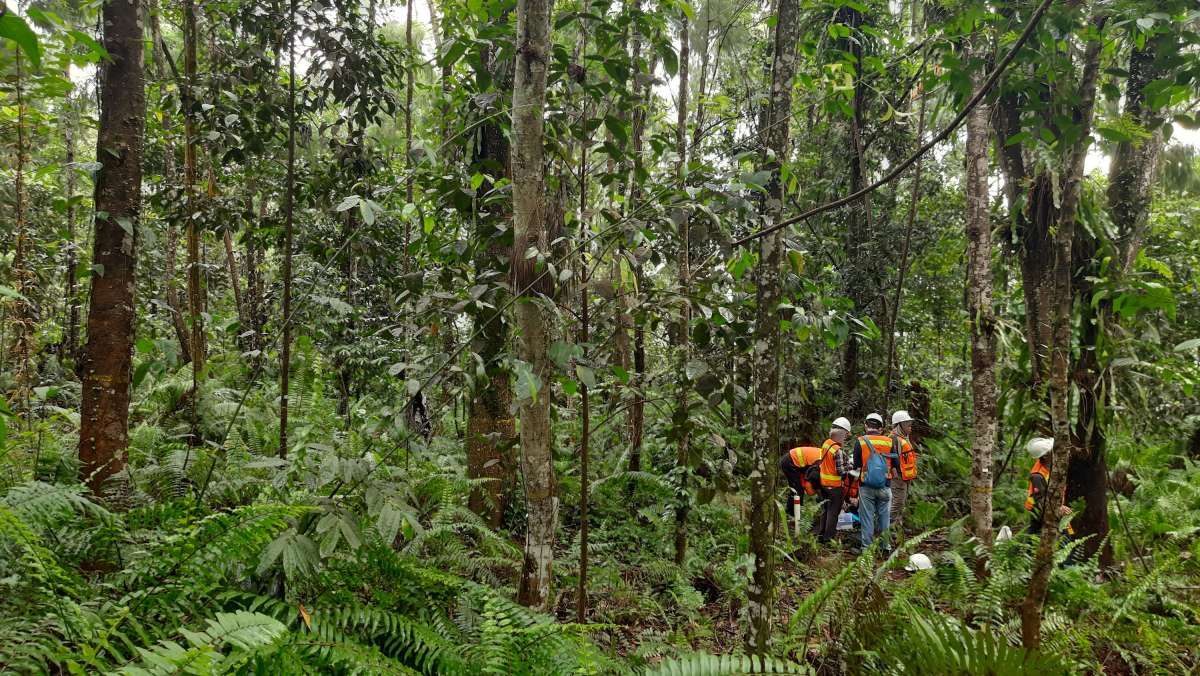 ESG Vale Indonesia (INCO): Menghidupkan Kembali Lahan Berkandungan Logam Berat