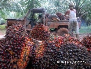 CPO mungkin menguji level RM 4.000 dalam 8 pekan mendatang