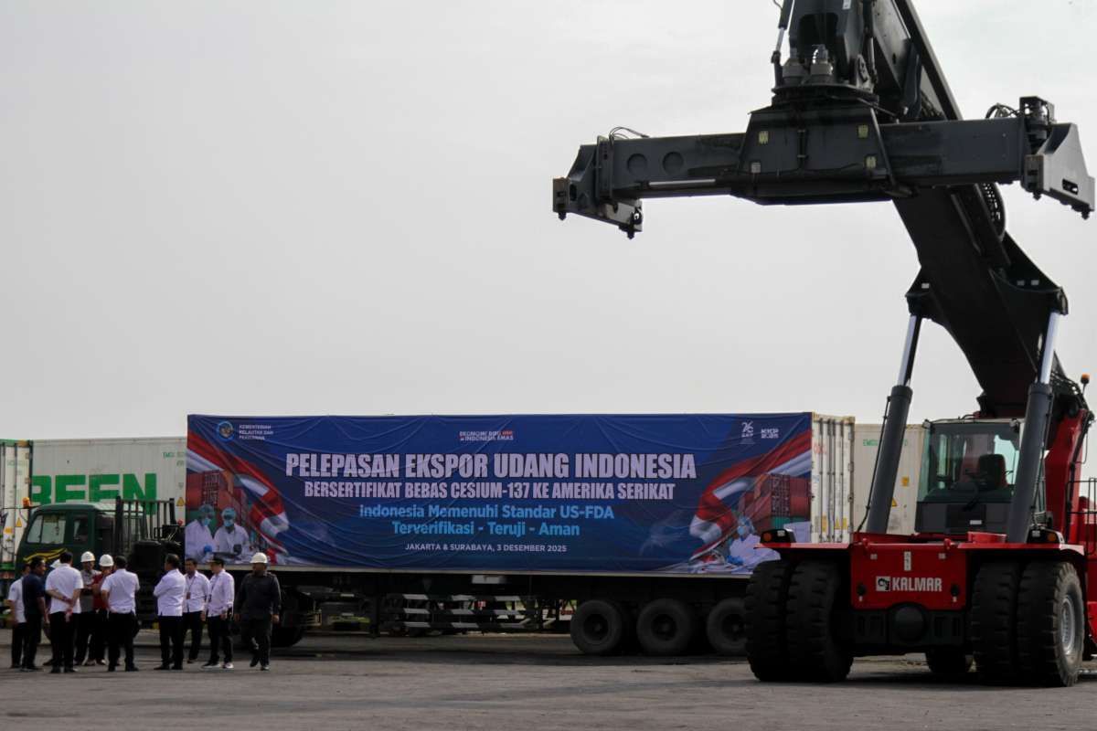  Ekspor Udang ke Amerika Kembali Mengalir Deras