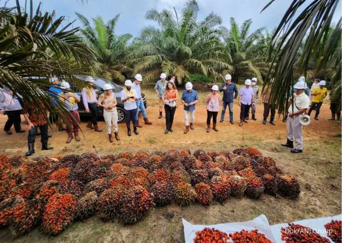 Austindo Nusantara Jaya (ANJT) Targets a 6% Increase in FFB Production by 2024