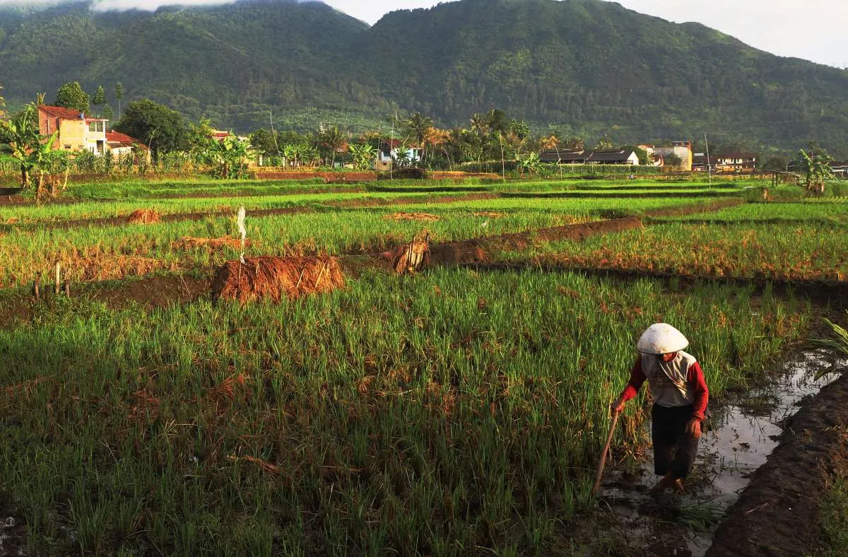 Prakiraan Cuaca Jabar Kamis (5/2): Hujan Ringan Merata di Setiap Wilayah!