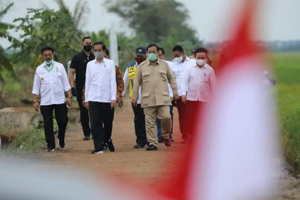 Food estate, kolaborasi Jokowi - Prabowo wujudkan kedaulatan RI di bidang pangan
