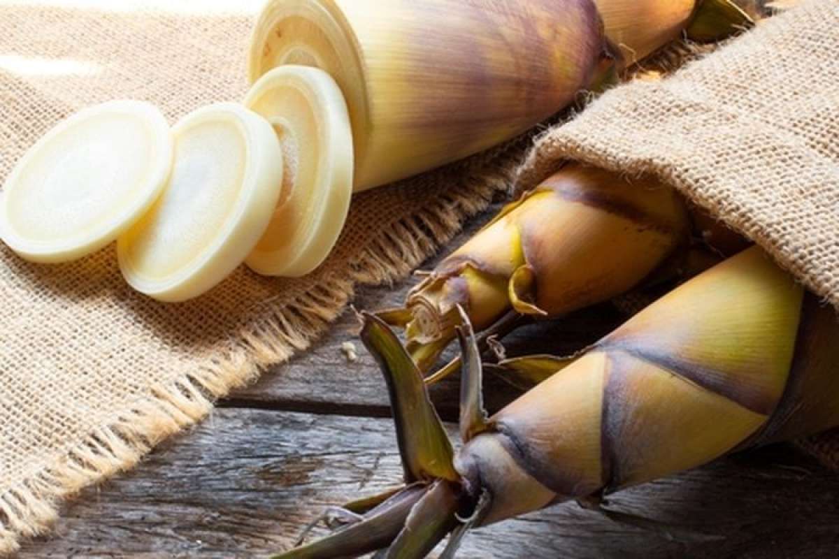 Peluang Besar yang Belum Digarap : Rebung Bambu Sayur