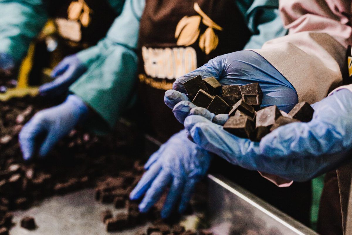 Wahana Interfood (COCO) Menggenjot Produksi Midstream