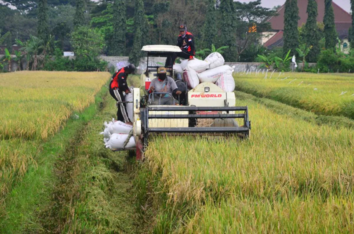 BPS akan lakukan sensus pertanian di 2023, ini manfaatnya