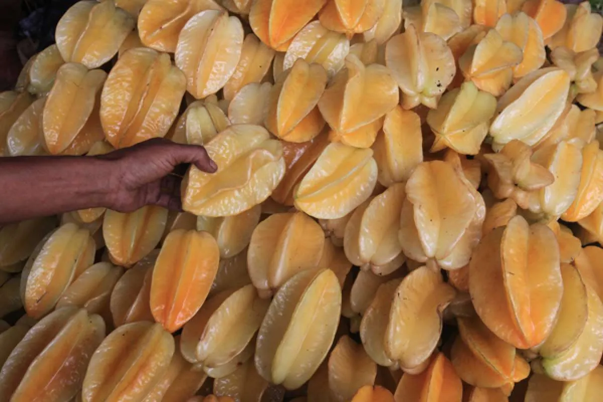 4 Manfaat buah belimbing, bisa mencegah stroke