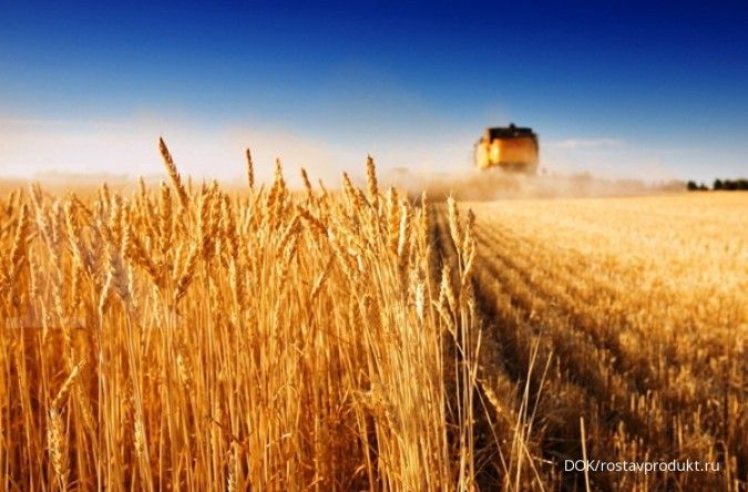 Rusia dilaporkan memperketat ekspor gandum untuk jaga harga di pasar domestik 