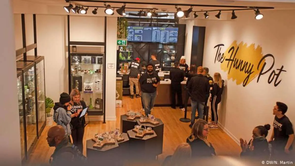 Tak semudah yang disangka, begini lika-liku bisnis ganja di Kanada