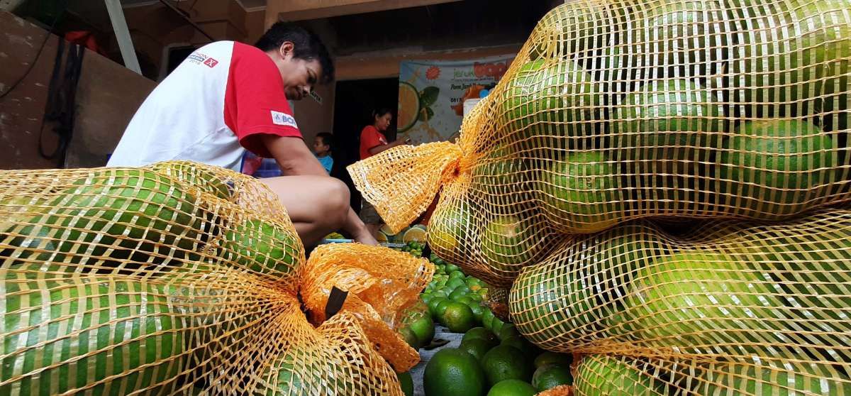 Tersendat, Realisasi KUR Hingga Juli Belum Sampai Separuh Target Setahun