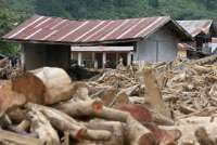 Buntut Banjir Besar, Kemenhut Audit 24 Izin Pemanfaatan Hutan di Aceh-Sumatra