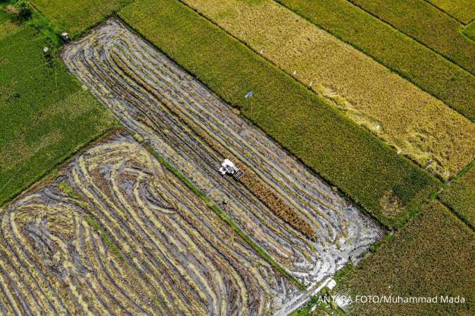 Perlambatan Ekonomi 2025: Sektor Ini Akan Bangkit Kuartal I 2026