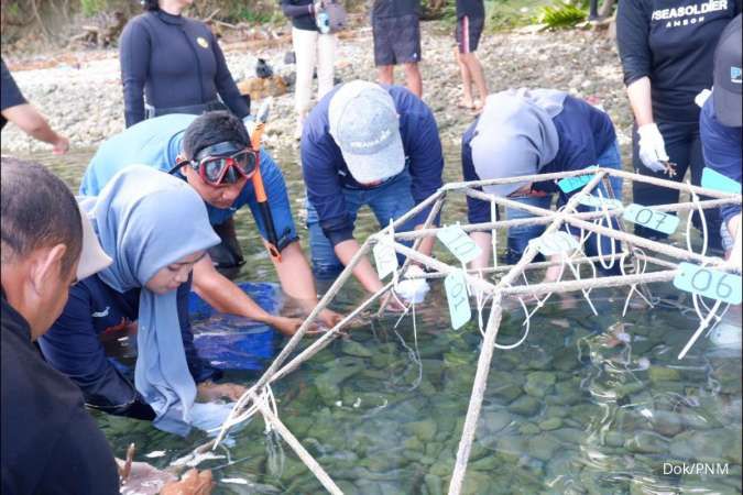 PNM Gandeng Pemuda dalam Konservasi Terumbu Karang di Ambon