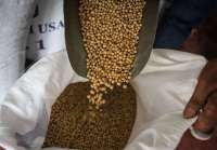 China Tangguhkan Beberapa Tarif AS, Tapi Kedelai Masih Mahal bagi Pembeli Lokal