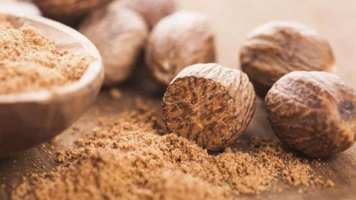 Cara Konsumsi Pala agar Efektif Menurunkan Berat Badan 