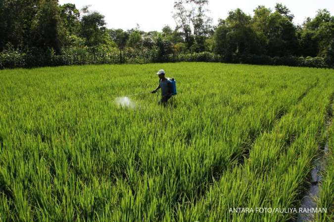 Penghapusan Kredit Macet Petani Harus Dibarengi Perbaikan Infrastruktur Pertanian