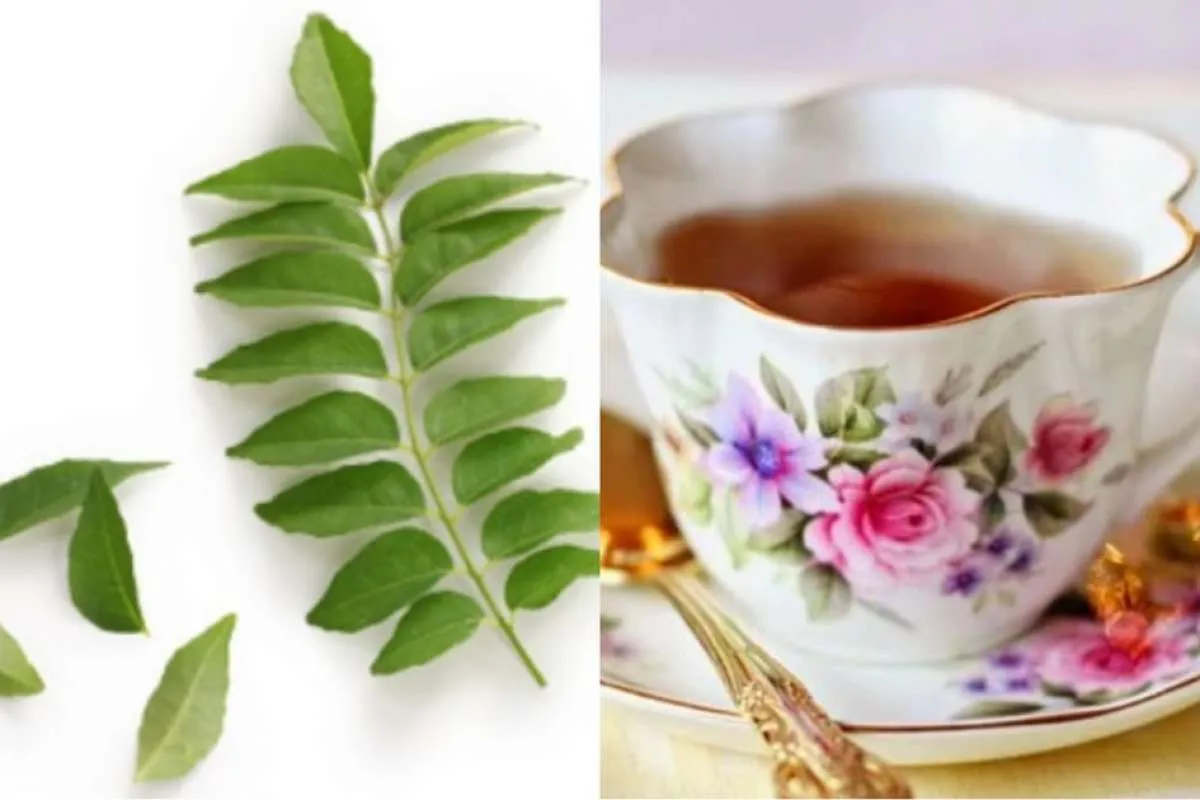 Minuman Segar Ini Baik untuk Mengelola Gula Darah pada Penderita Diabetes