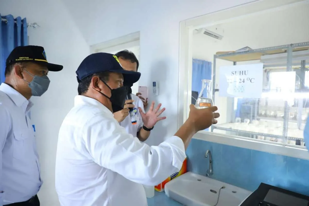 KKP siapkan anggaran Rp 250 miliar bangun shrimp estate