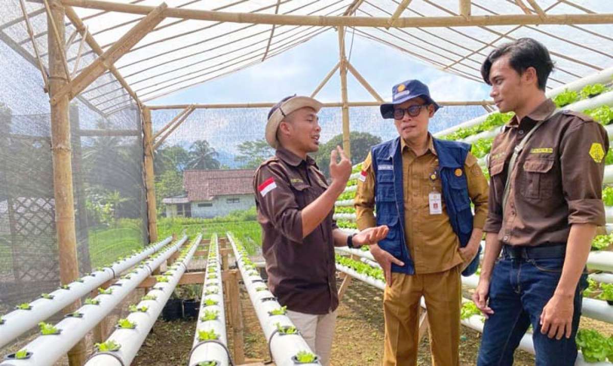 Petani Muda Bisa Dapat Cuan Banyak
