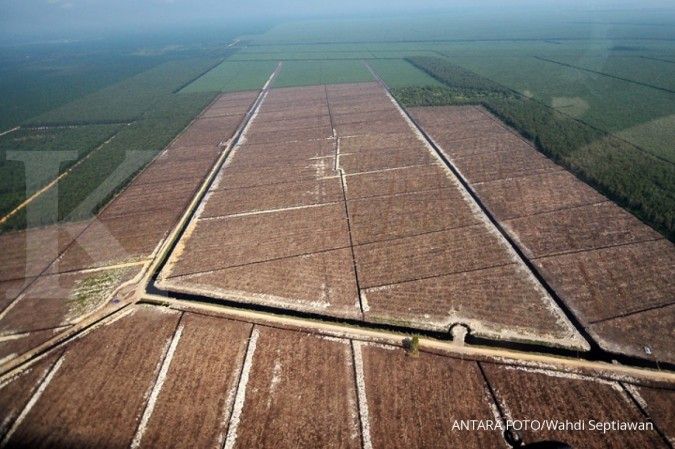 Ketersediaan lahan pengganti gambut sangat minim