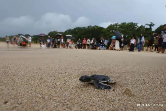 Awas Rugi Waktu! Jangan Sampai Liburan 3 Hari Gagal Hanya Karena Ini