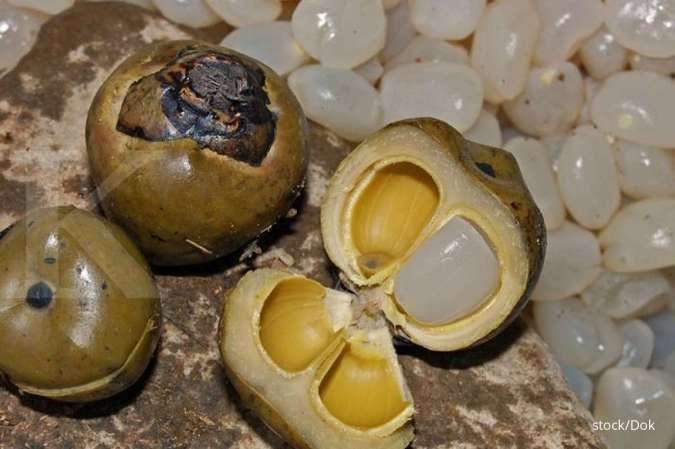 Selain Nikmat, Kolang-Kaling Juga Baik untuk Kesehatan