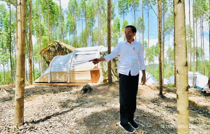 Jokowi: Istana di IKN Nusantara Berlokasi di Ketinggian 80 MDPL