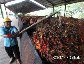 Asosiasi pengusaha kelapa sawit memprotes inpres moratorium hutan