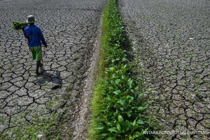 BMKG: El Nino Kuat, Sebagian Besar Wilayah Indonesia Alami Musim Kemarau Lebih Kering