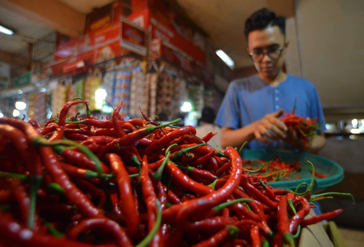 Anomali Pergerakan Inflasi di Awal 2025