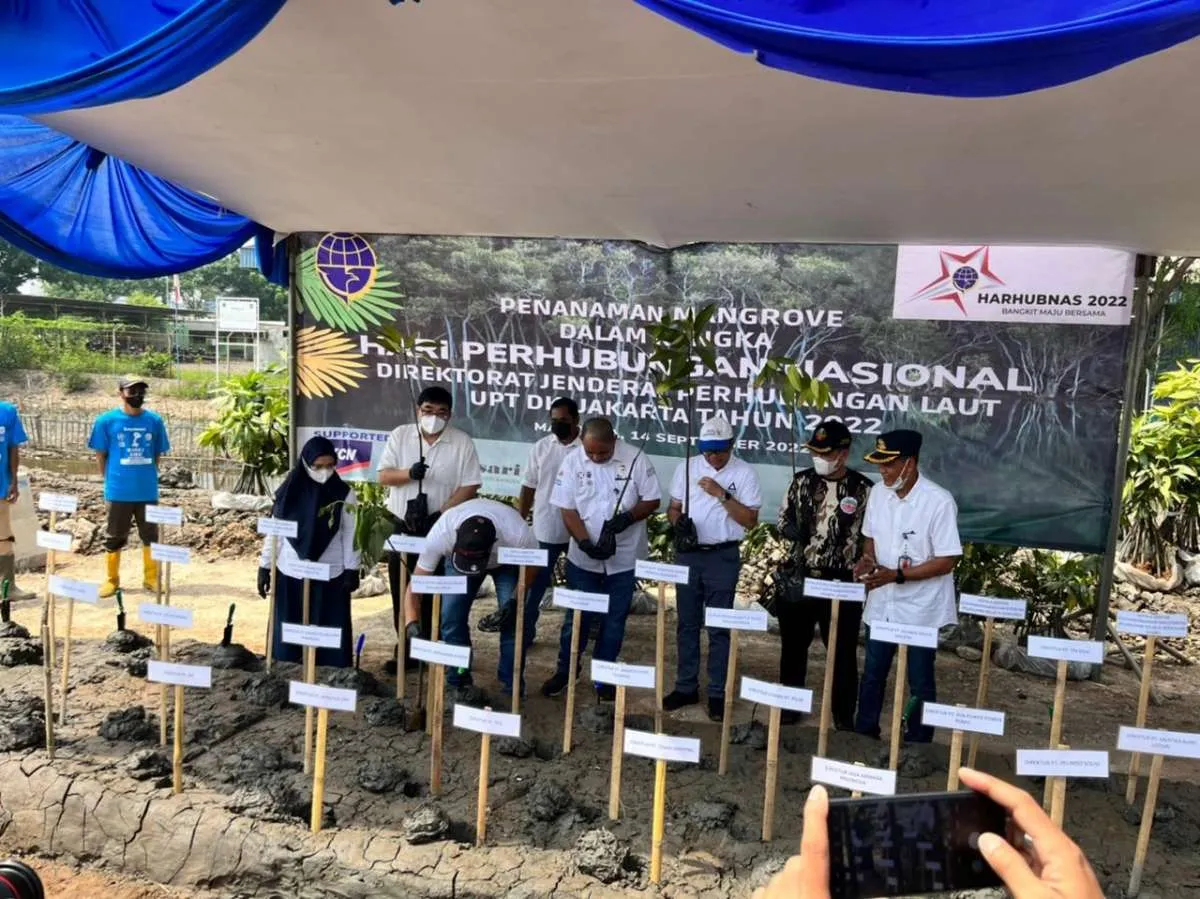  KCN Tanam Mangrove di Marunda dalam Rangka Harhubnas