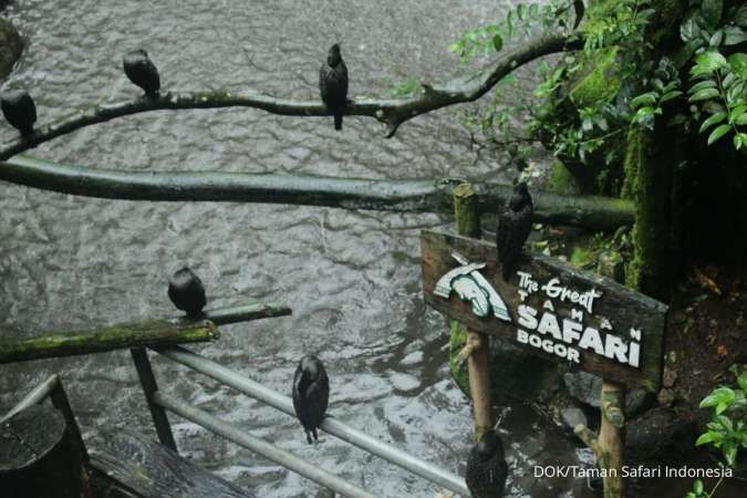 Keseimbangan Bisnis TSI : Antara Konservasi dan Ekowisata Berkelanjutan