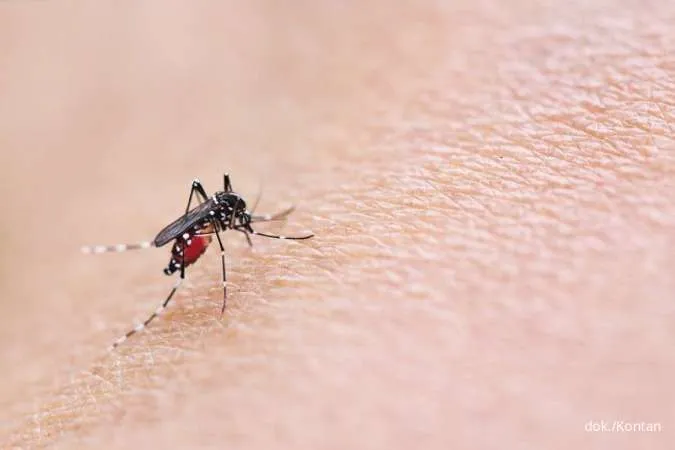 Ini Dia 3 Fase Demam Berdarah pada Anak dan Cara Menanganinya