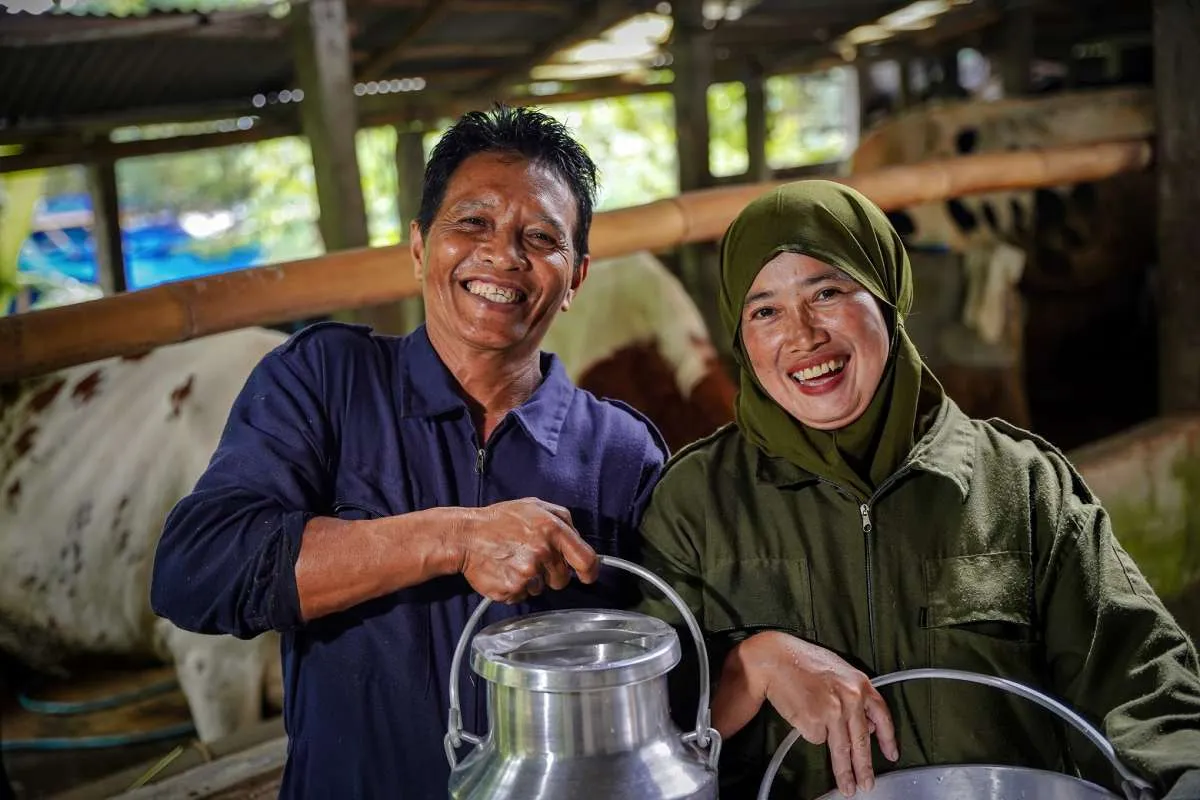 Menjaga Ketahanan Pangan melalui Pemberdayaan Peternak Sapi Perah Lokal